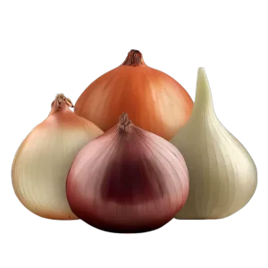 Bulb Onions