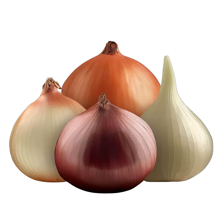 Bulb Onions