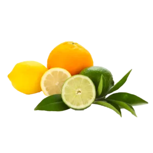 Citrus Fruits