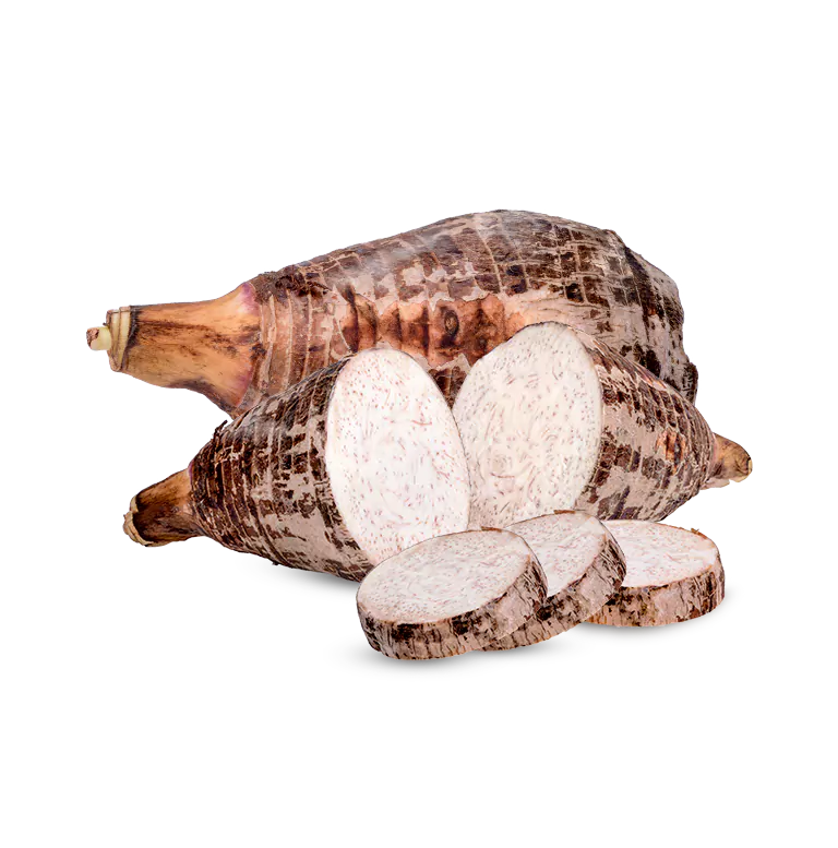 Malanga Coco