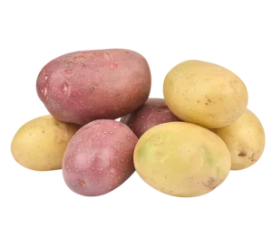 Red, Yukon & White Potatoes