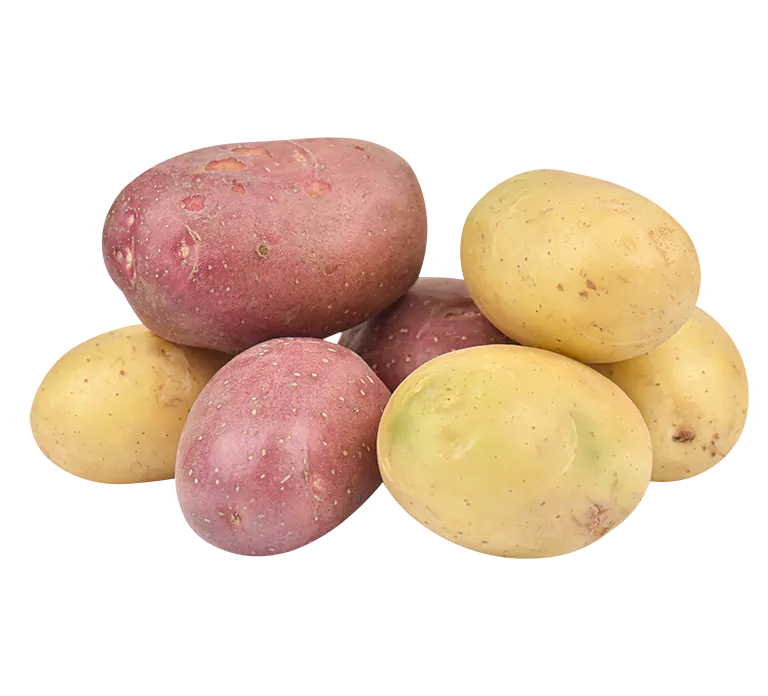 Red, Yukon & White Potatoes