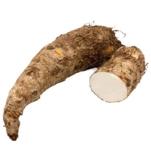 White Yautia