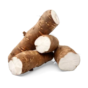 Yuca