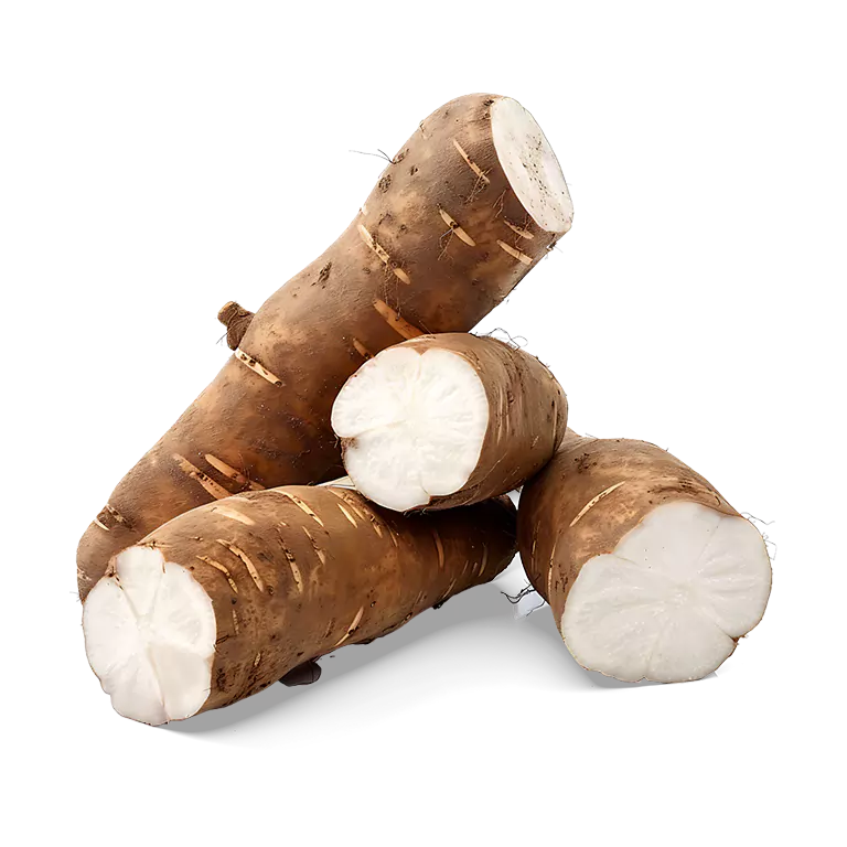 Yuca